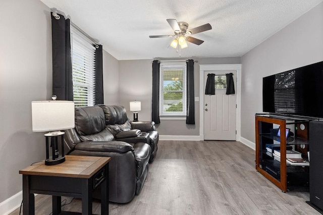 238 Charlotte Ave N, Waynesboro, VA 22980 - living area featuring ceiling fan, light wood finished floors, plenty of natural light, and baseboards