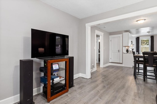 238 Charlotte Ave N, Waynesboro, VA 22980 - living area featuring light wood-type flooring, baseboards, and a textured ceiling