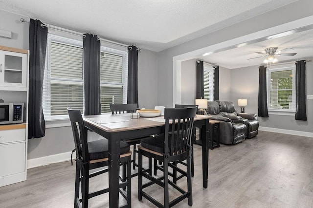 238 Charlotte Ave N, Waynesboro, VA 22980 - dining room featuring light wood-type flooring, baseboards, a ceiling fan, and a textured ceiling