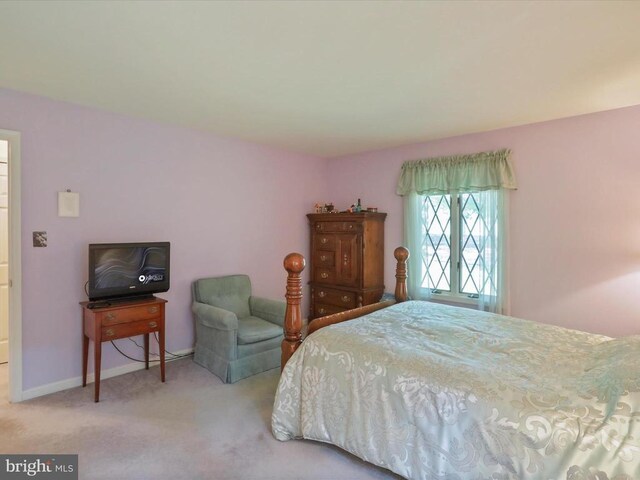  - carpeted bedroom with baseboards