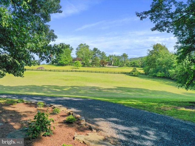  - view of yard