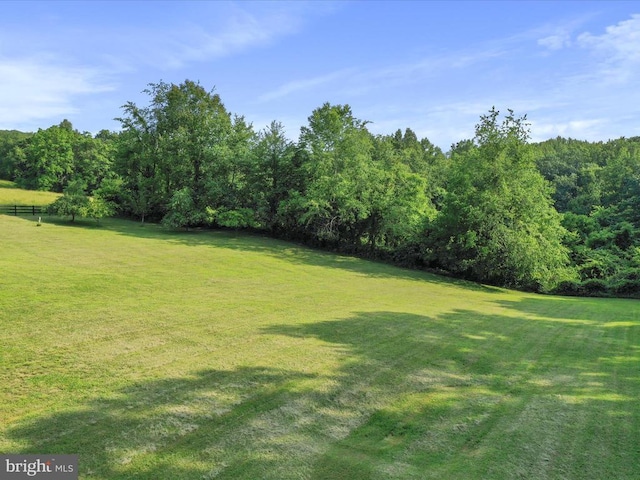 - view of grassy yard with a wooded view