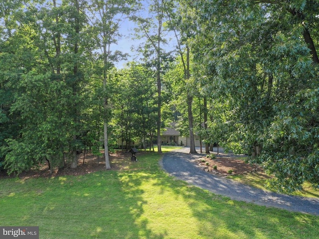  - view of front of house with a front yard