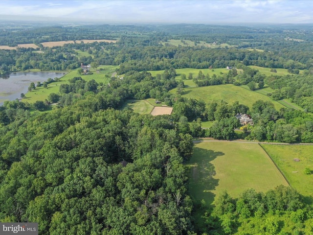  - aerial view of sparsely populated area featuring a large body of water and a heavily wooded area