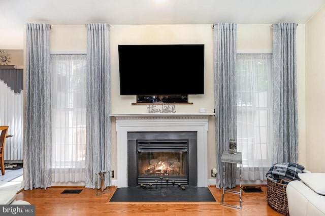 detailed view of wood finished floors and a fireplace with flush hearth