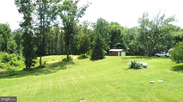  - photo 27