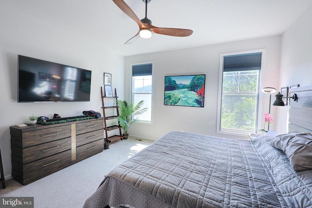 3431 Montague St, Charlottesville, VA 22902 - photo 14