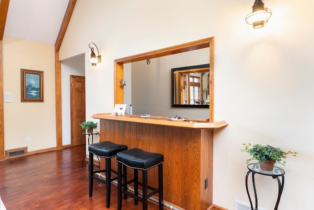 27 Black Walnut Ln, Nellysford, VA 22958 - indoor dry bar featuring dark wood-type flooring, baseboards, and high vaulted ceiling