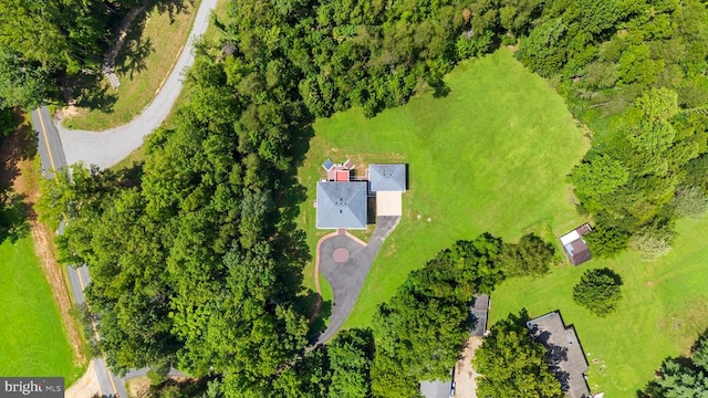 3925 Guinea Station Rd, Fredericksburg, VA 22408 - photo 5