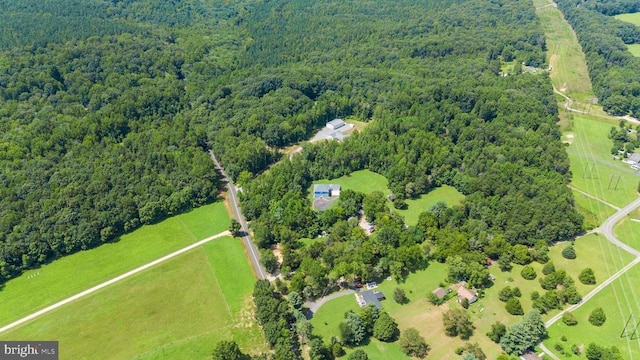 3925 Guinea Station Rd, Fredericksburg, VA 22408 - photo 4