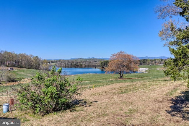 10080 Mountain Run Lk, Culpeper, VA 22701