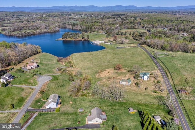 10080 Mountain Run Lk, Culpeper, VA 22701