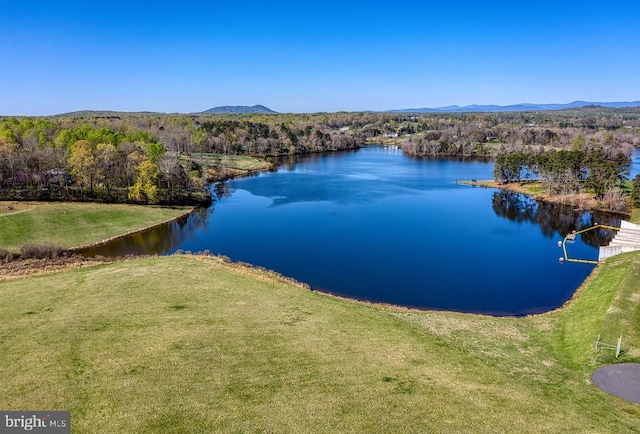 10080 Mountain Run Lk, Culpeper, VA 22701