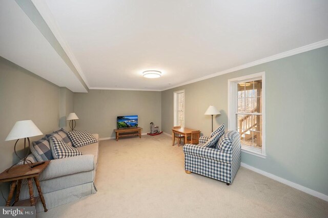 9920 Post Oak Rd, Spotsylvania, VA 22551 - living room featuring baseboards, carpet flooring, and ornamental molding