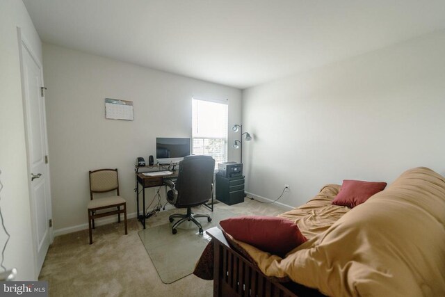 820 Virginia Ave, Culpeper, VA 22701 - photo 18