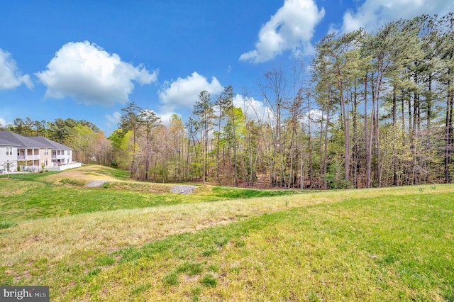 9822 White Oak Swamp Ct, Fredericksburg, VA 22407 - view of grassy yard