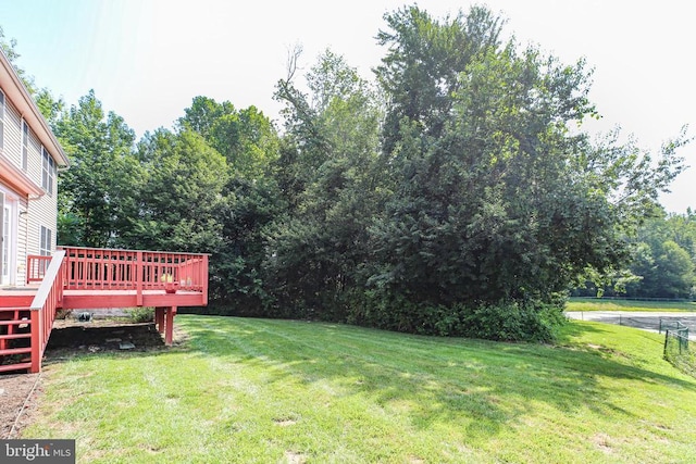 10407 Napoleon St, Fredericksburg, VA 22408 - photo 46