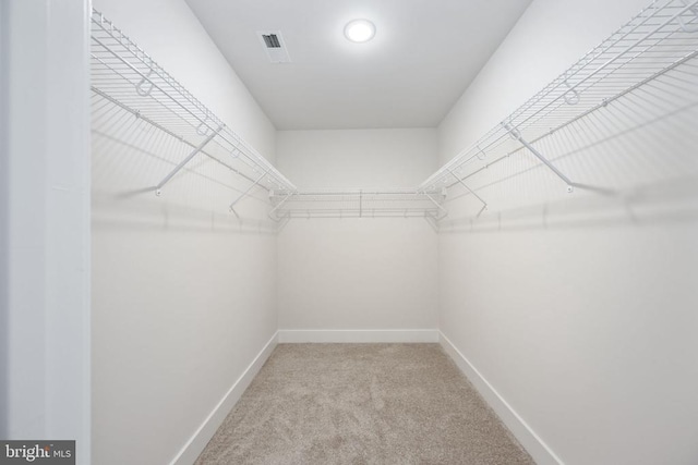 Old Lawyers Rd, Unionville, VA 22567 - walk in closet featuring light colored carpet