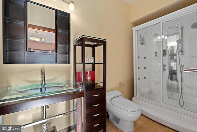 5442 Ellett Ln, Rixeyville, VA 22737 - full bath with a shower with shower door, toilet, and a sink