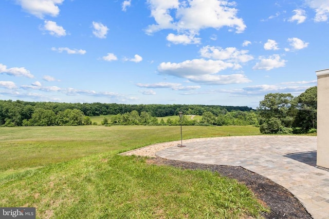 5442 Ellett Ln, Rixeyville, VA 22737 - view of grassy yard