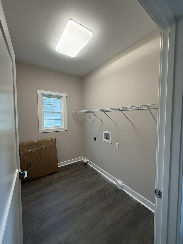 1526 2nd St, Waynesboro, VA 22980 - laundry area featuring dark wood-style flooring, hookup for a washing machine, and electric dryer hookup