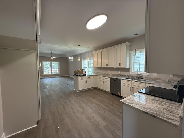 1526 2nd St, Waynesboro, VA 22980 - kitchen featuring dishwasher, a peninsula, stove, and white cabinetry