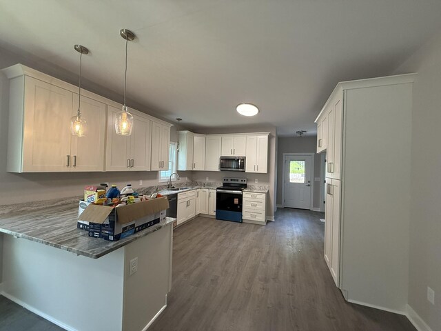 1526 2nd St, Waynesboro, VA 22980 - kitchen featuring stainless steel appliances, a peninsula, healthy amount of natural light, and dark wood-type flooring