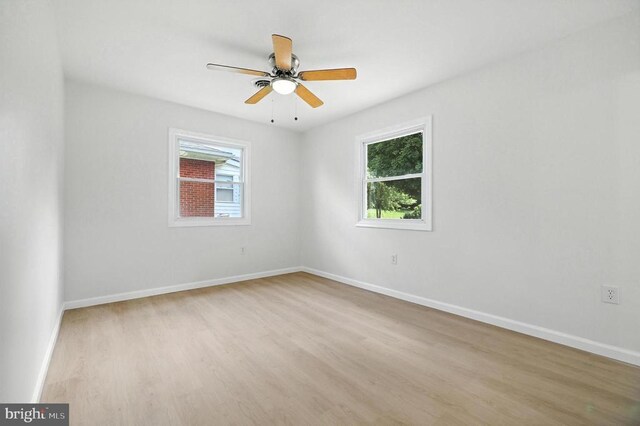 26 Oflinn St, Luray, VA 22835 - photo 22