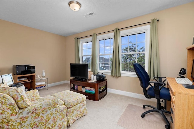 117 Villa View Dr, Staunton, VA 24401 - carpeted office with baseboards
