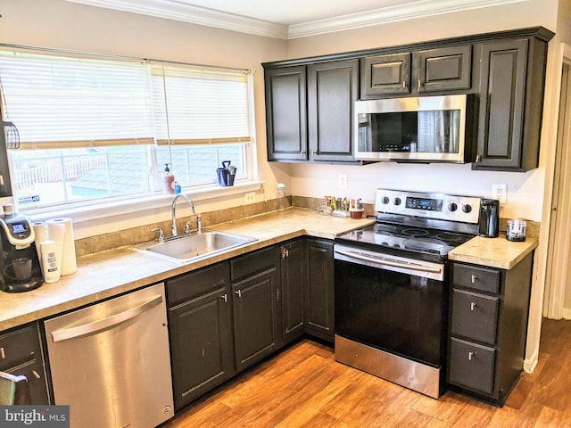 1701 Lambert Ct, Culpeper, VA 22701 - photo 6