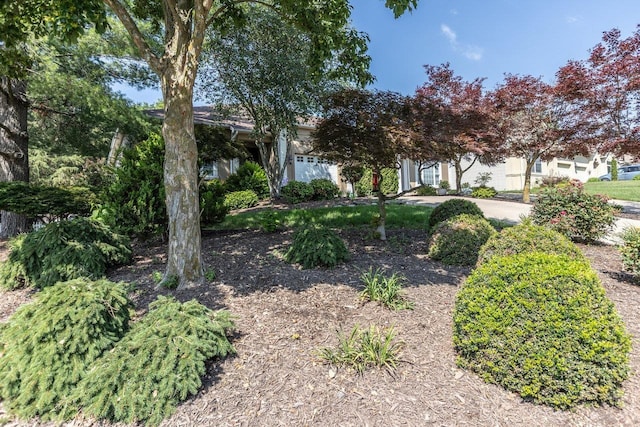 2974 Cullison Ct, Rockingham, VA 22801 - photo 35