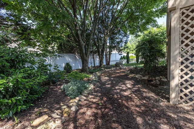 2974 Cullison Ct, Rockingham, VA 22801 - photo 50