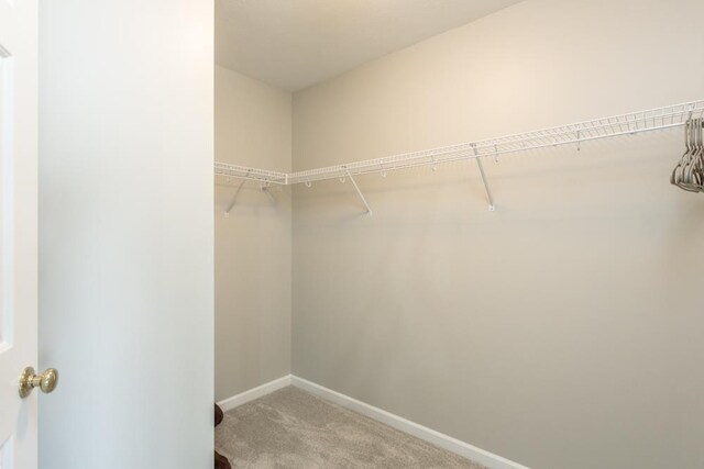 2890 Crystal Spring Ln, Rockingham, VA 22801 - walk in closet with carpet floors