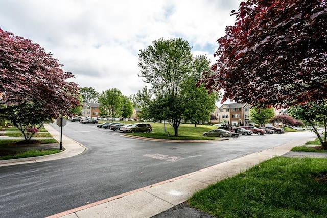 2890 Crystal Spring Ln, Rockingham, VA 22801 - view of asphalt street featuring traffic signs, curbs, a residential view, and sidewalks