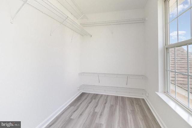 6224 Hot Spring Ln, Fredericksburg, VA 22407 - walk in closet with wood finished floors