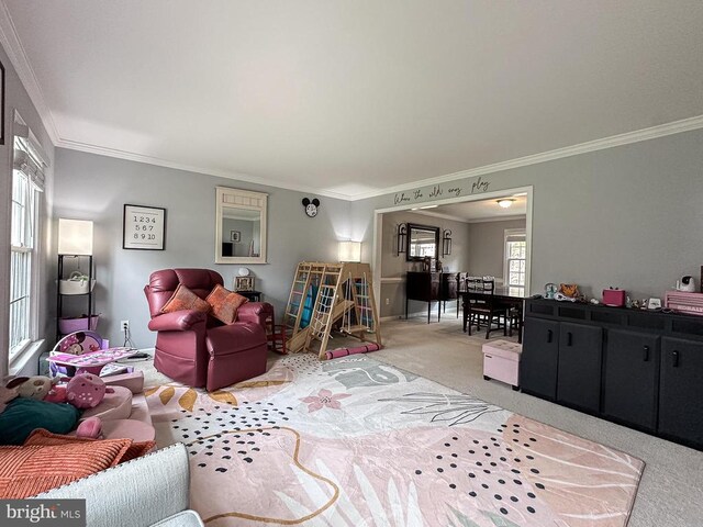 living room with light carpet and crown molding