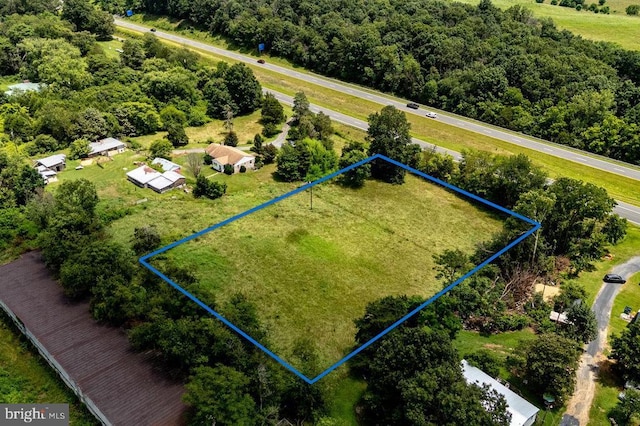 2904 US Highway 211 W, Luray, VA 22835 - photo 65