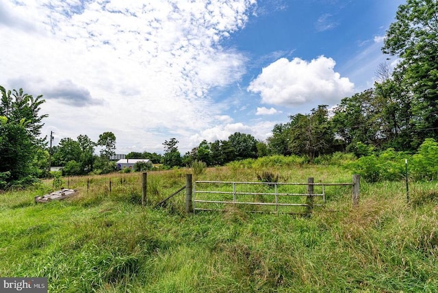 2904 US Highway 211 W, Luray, VA 22835 - photo 56