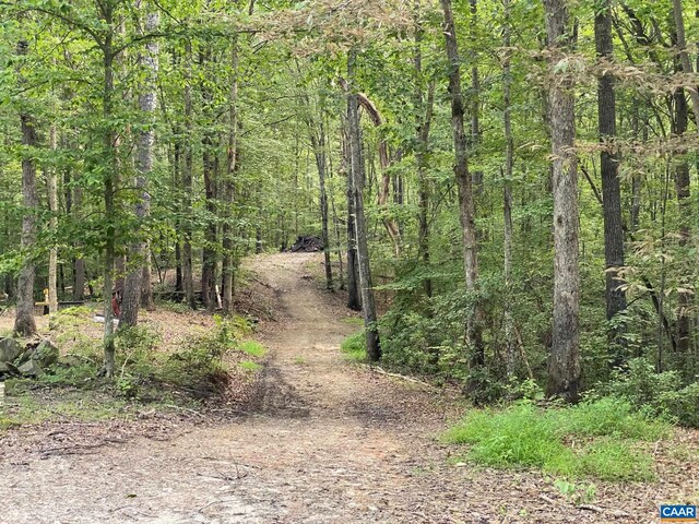N-74 Salem Rd, Schuyler, VA 22969 - photo 11