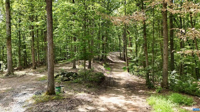 N-74 Salem Rd, Schuyler, VA 22969 - photo 10