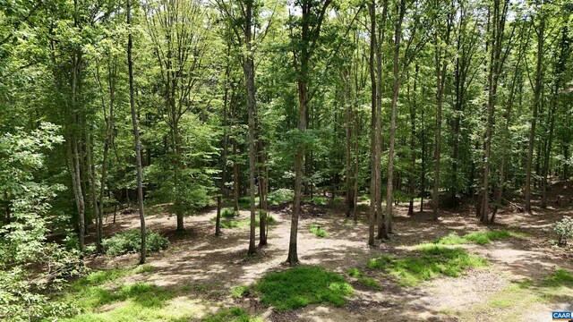N-74 Salem Rd, Schuyler, VA 22969 - photo 6