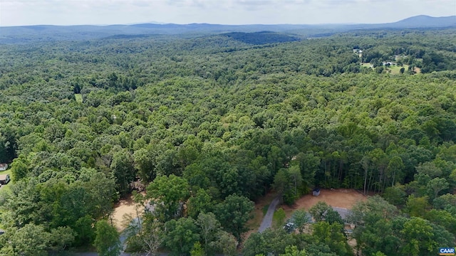 N-74 Salem Rd, Schuyler, VA 22969 - photo 1