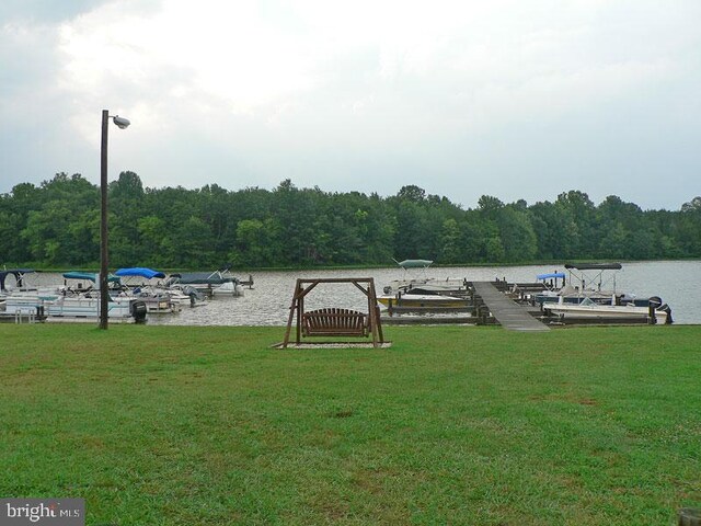 273 Pettit Pl, Louisa, VA 23093 - dock area with a view of trees, a yard, and a water view