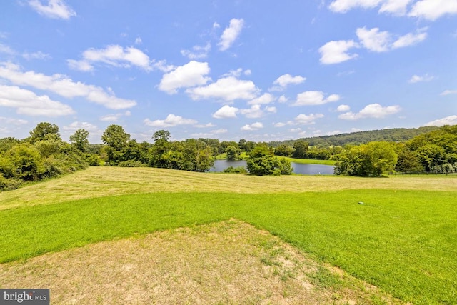 8268 Meadows Rd, Warrenton, VA 20186 - photo 42