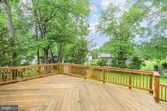 19 Yosemite Ln, Fredericksburg, VA 22408 - photo 29