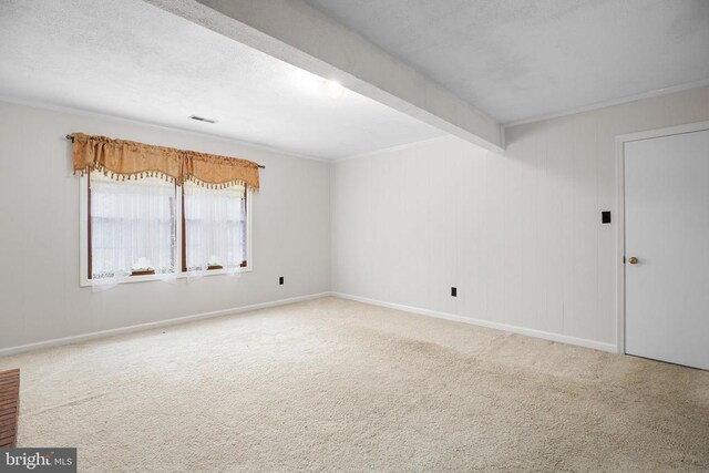 19 Yosemite Ln, Fredericksburg, VA 22408 - photo 8