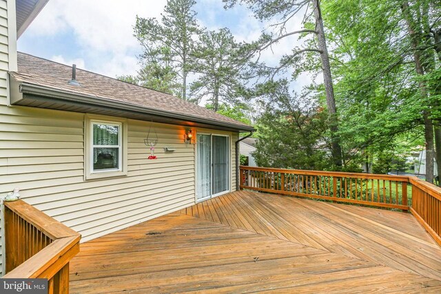 19 Yosemite Ln, Fredericksburg, VA 22408 - photo 30