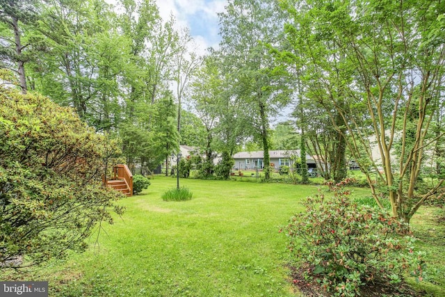19 Yosemite Ln, Fredericksburg, VA 22408 - photo 35