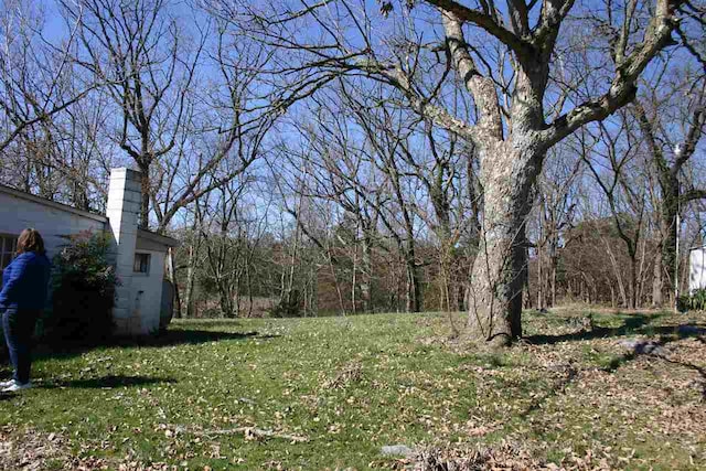 1661 Smithland Rd, Harrisonburg, VA 22802 - photo 5