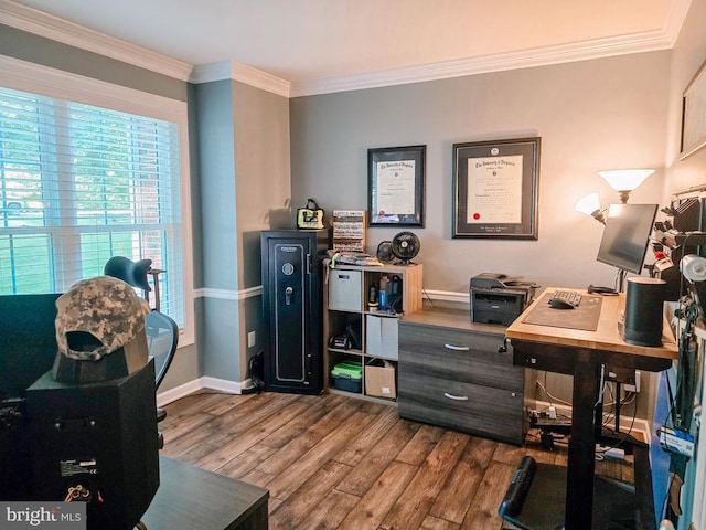  - office space featuring wood finished floors and crown molding